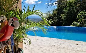 Vista Mar Y Monos